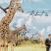 《求婚規劃》非洲肯亞的草原上演著他們的浪漫